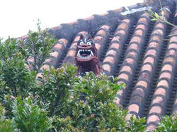 2005 taketomi shi-sa-1