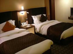 diary 2008.01.08 ana hotel