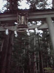 233cd300.jpeg