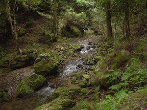 ポンポン山　渓流