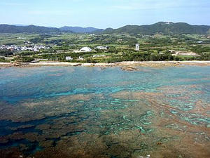 奄美の海