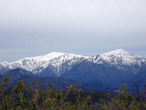 091122v195.jpg