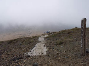 100502e.jpg