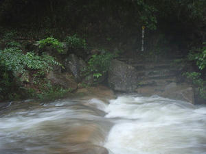 100626b.jpg