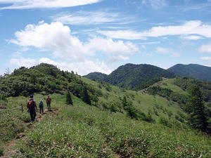 20100718b.jpg