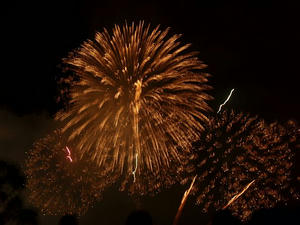 2010びわ湖大花火大会
