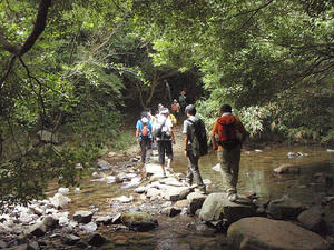 20100807a.jpg