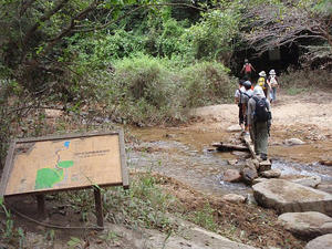 20100807b.jpg