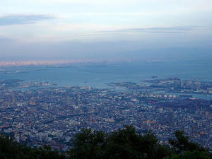 20100807c.jpg