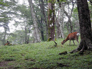 20100814a.jpg
