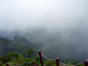 20100814b.jpg