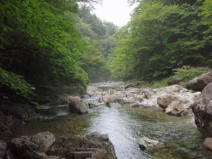 20100814c.jpg