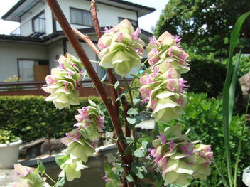 DSCF1715.JPG