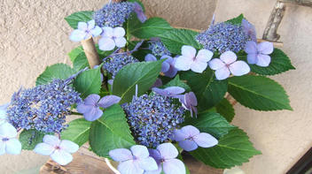 DSCF1759.JPG