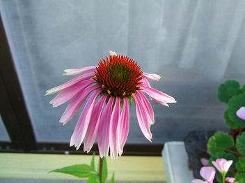 DSCF1722.jpg