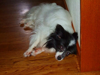DSCF1824.jpg