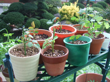 DSCF1830.JPG