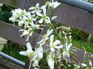 2009_04220001.jpg