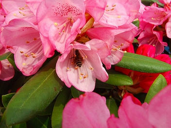 2009_05050003.jpg