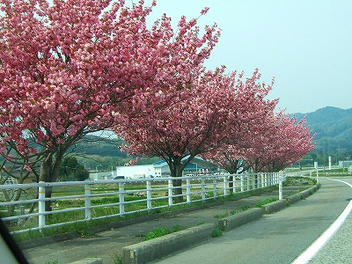 2009_05050006.jpg