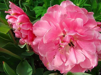2009_05080005.jpg