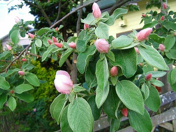 2009_05080006.jpg