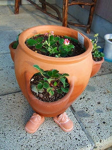 2009_05150017.jpg