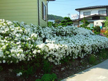 2009_05200004.jpg