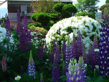 2009_05200002.jpg