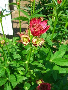 2009_05210005.jpg