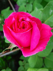2009_05280002.jpg