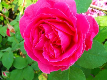 2009_05260003.jpg