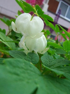 2009_05300013.jpg