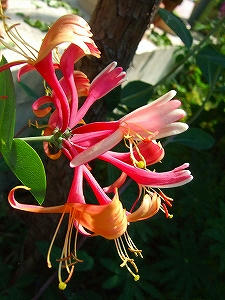 2009_06020007.jpg