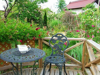 2009_06070004.jpg