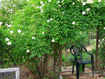 2009_06070012.jpg