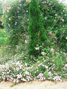 2009_06070006.jpg