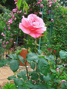 2009_06070008.jpg