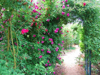 2009_06070009.jpg