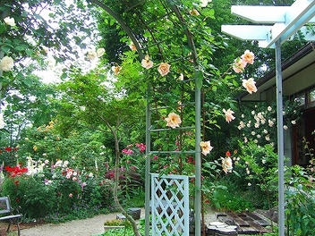 2009_06130016.jpg