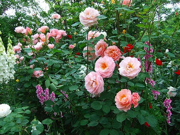2009_06130015.jpg