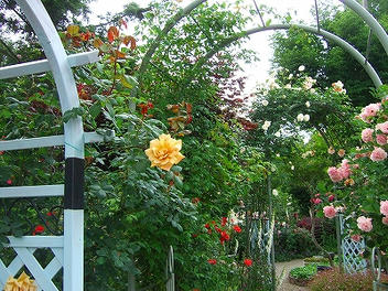 2009_06130018.jpg