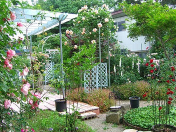 2009_06130019.jpg