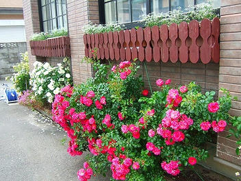 2009_06130004.jpg