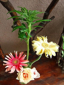 2009_06210003.jpg