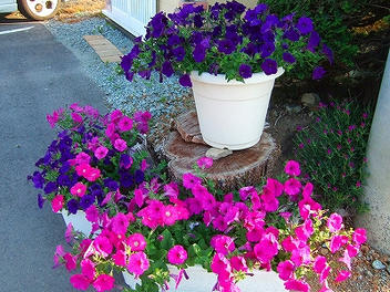 2009_06260005.jpg