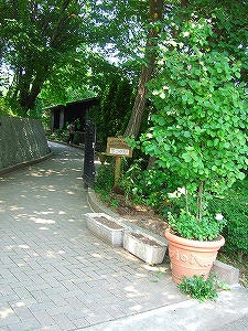 2009_06280008.jpg