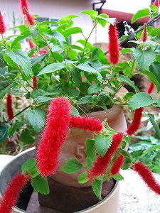 2009_06300006.jpg