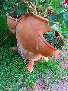 2009_06260004.jpg