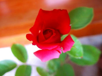 2009_07050005.jpg